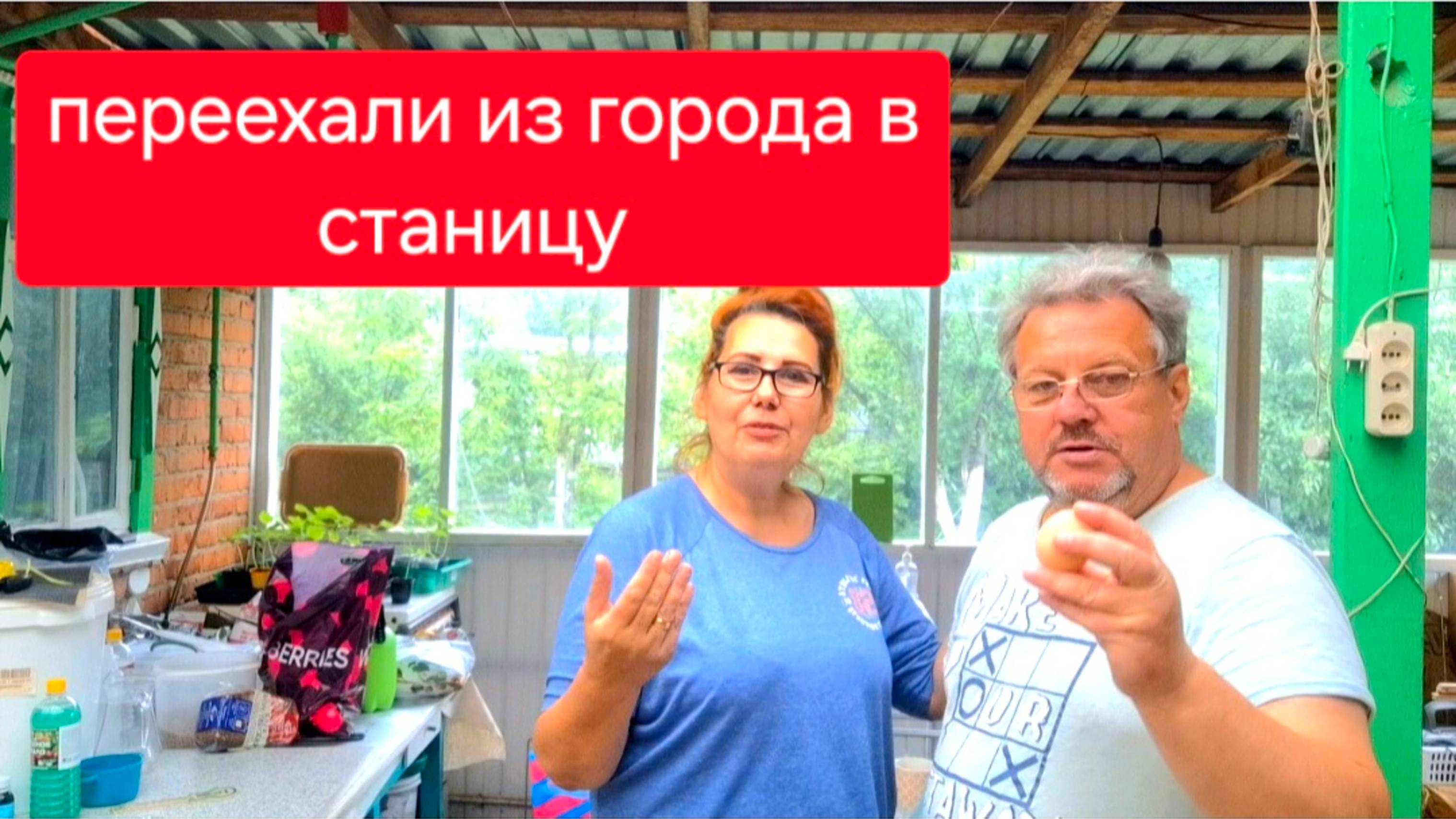 511 🏠 Переехали жить из города в станицу. Кубань заливает.Домашних яиц больше не будет.