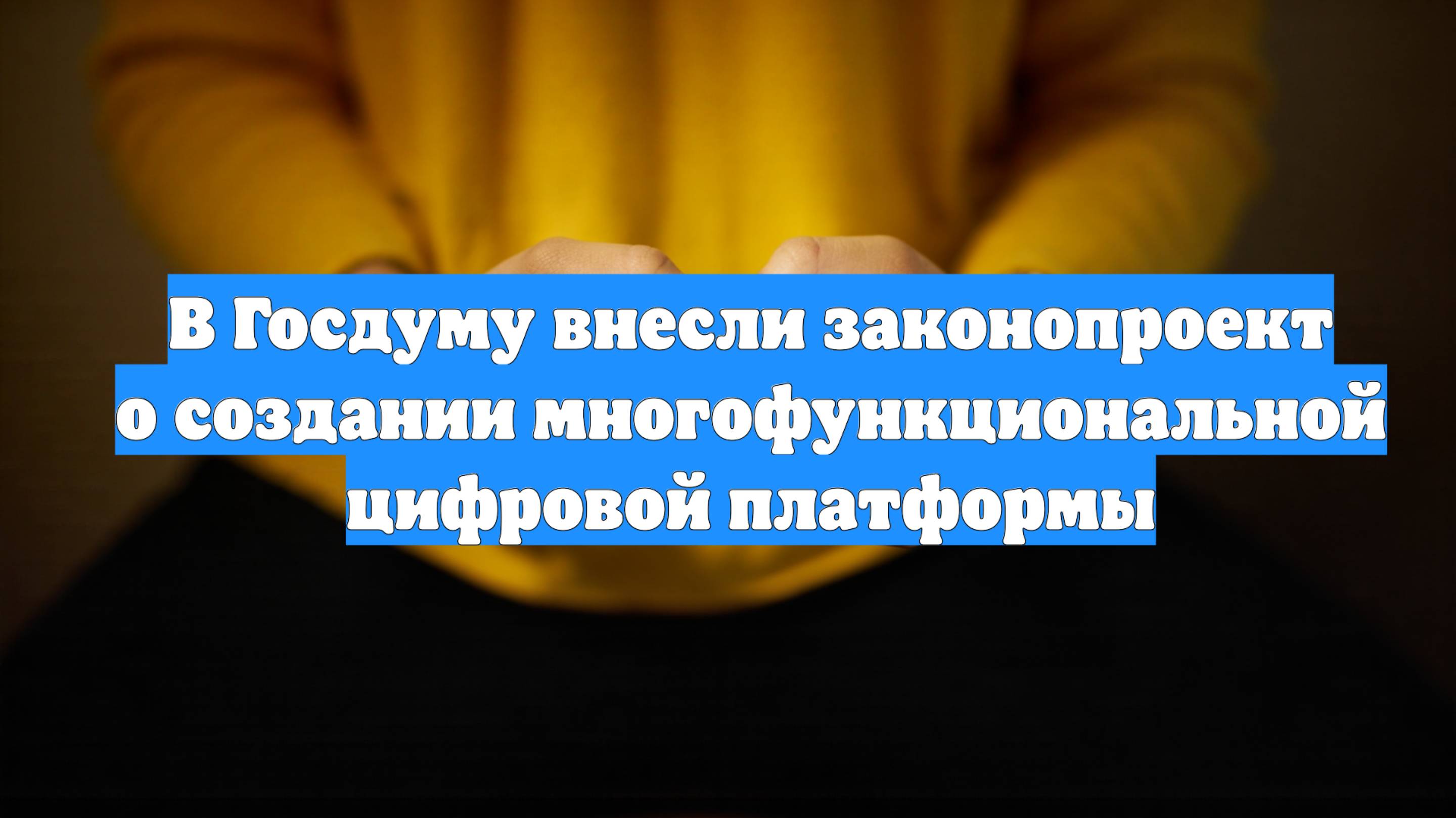 В Госдуму внесли законопроект о создании многофункциональной цифровой платформы