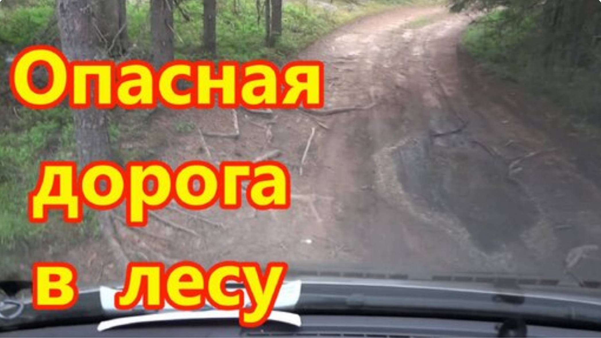 Опасная дорога по лесу в поисках полянки для рыбалки.