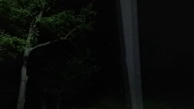 VID_20240614_230701