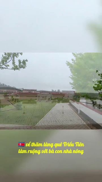 🇰🇵 It's rice planting season in rural DPRK🌾