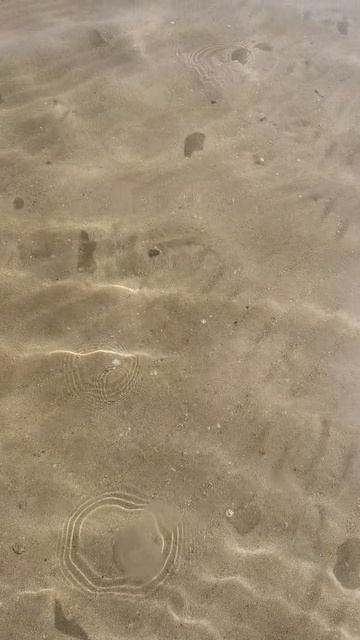 VID_20240623_091633