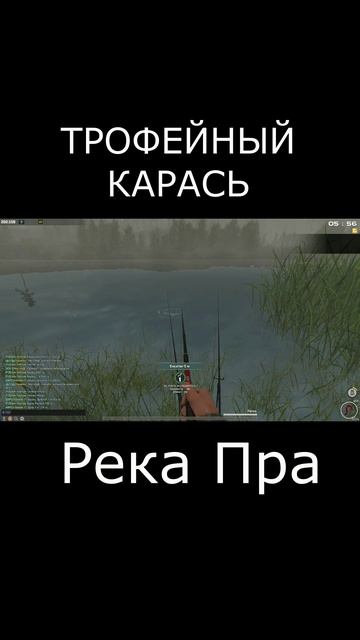 Трофейный Карась. Река Пра. Fisher Online