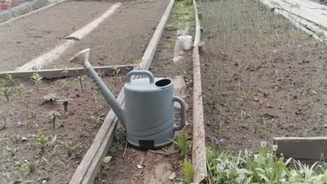 деревня,