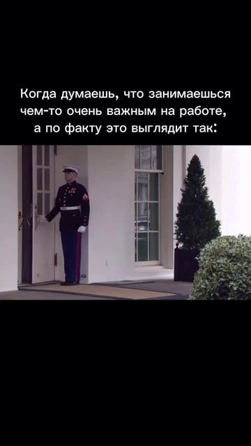Типичная работа