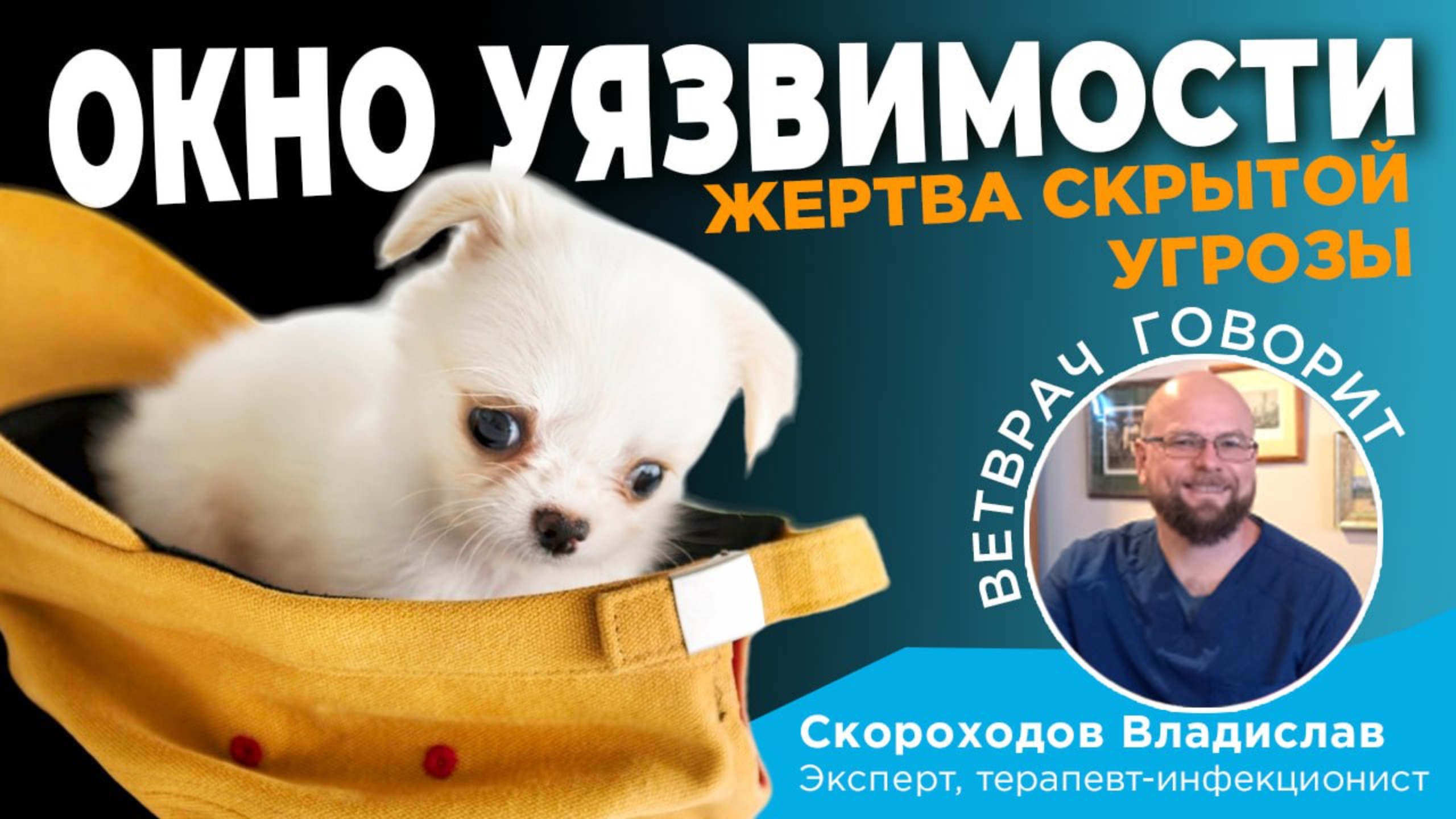 Ветеринарный врач рассказывает: Окно уязвимости