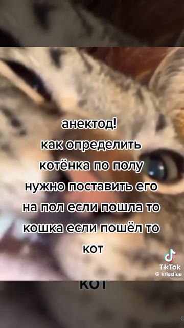 Мемы #2