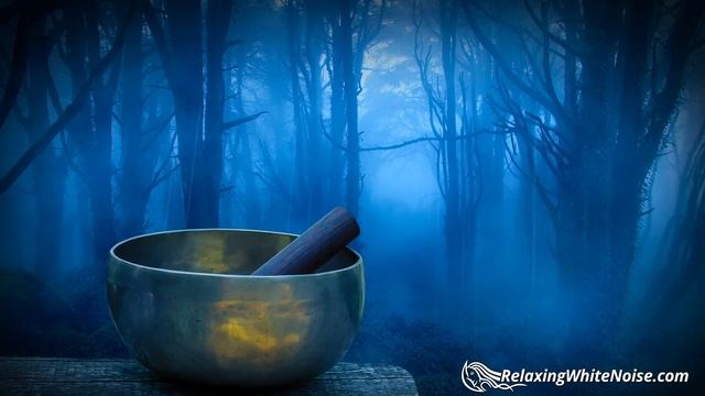 Rain in Woods + Tibetan Bowls | Relax, Study or Sleep with White Noise Music | 10 Hours