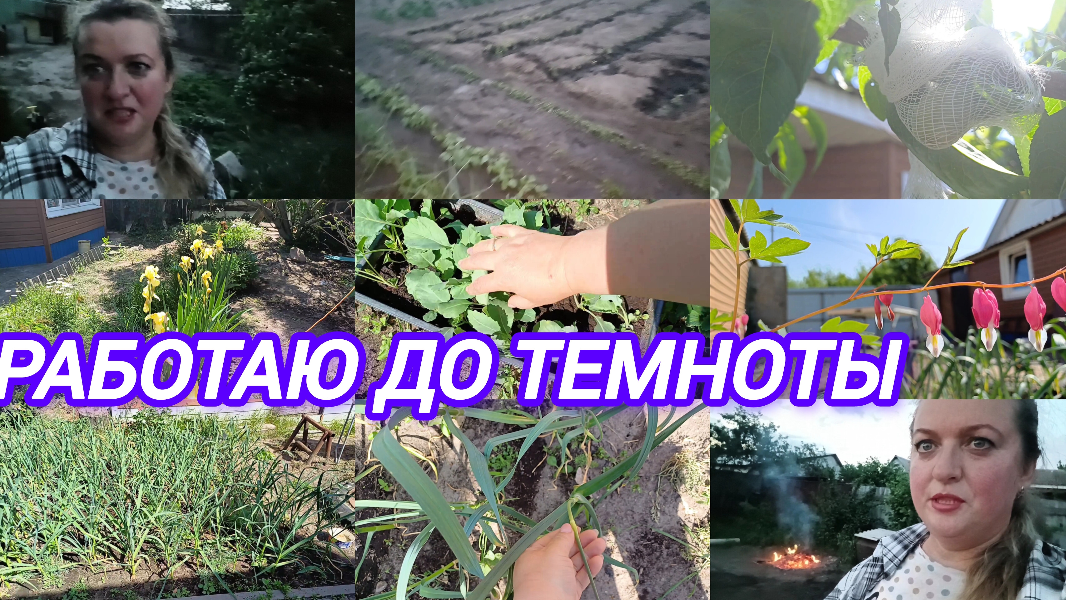 МОИ ЦВЕТЫ, САД. ПОДВЯЗАЛА ПЕРСИКИ. ПОЛИЛА РАСТИШКИ