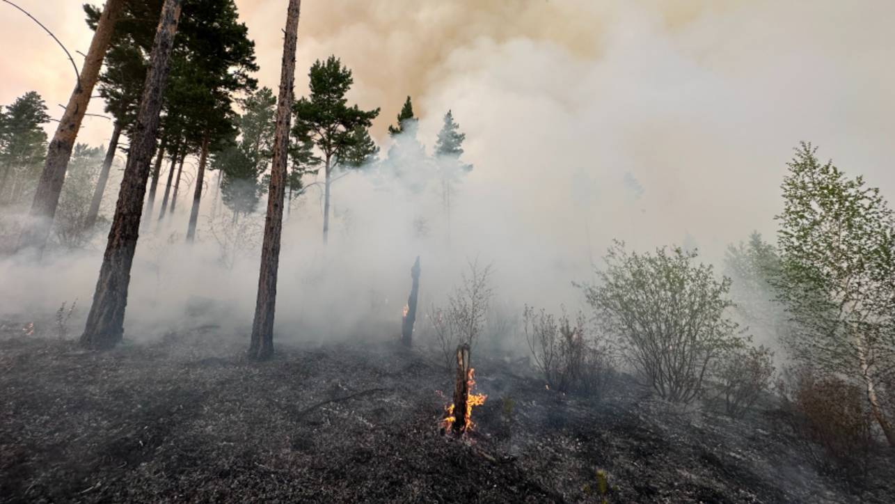 Дожди не помогли: в Забайкалье усиливают борьбу с природными пожарами