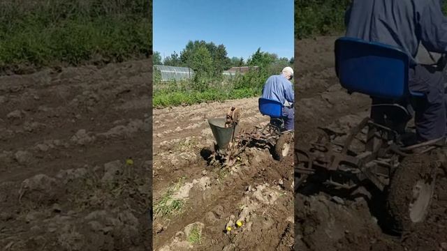 1000035261.mp4