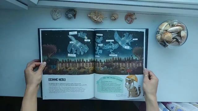 "Котячий путівник нічним небом", Жорж