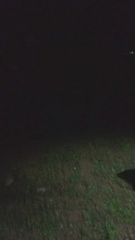 Дорада есть? а если найду? Ночёвка на холме.