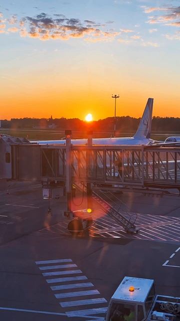 ✈️Рассказала свою историю в Тг (@youralice_chat)