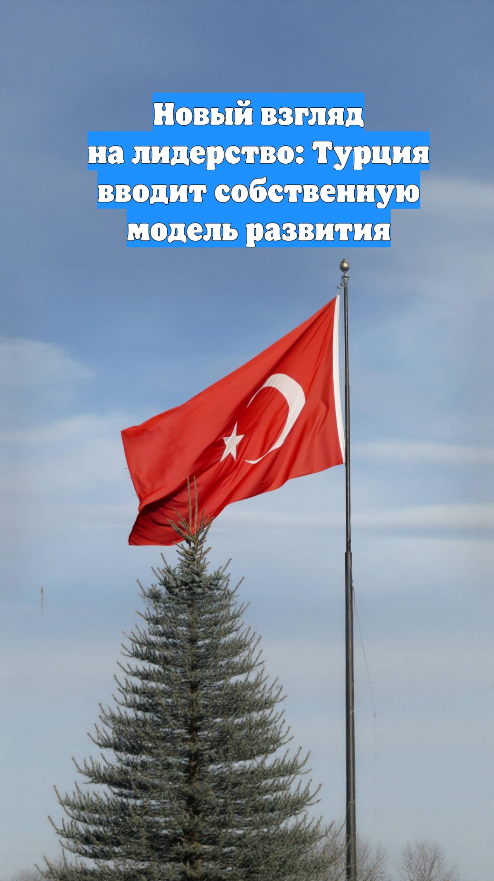 Новый взгляд на лидерство: Турция вводит собственную модель развития