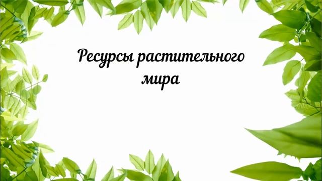 Лаборатория агробиологии и растениеводства ЭБЦ «Крестовский остров» ГБНОУ 
