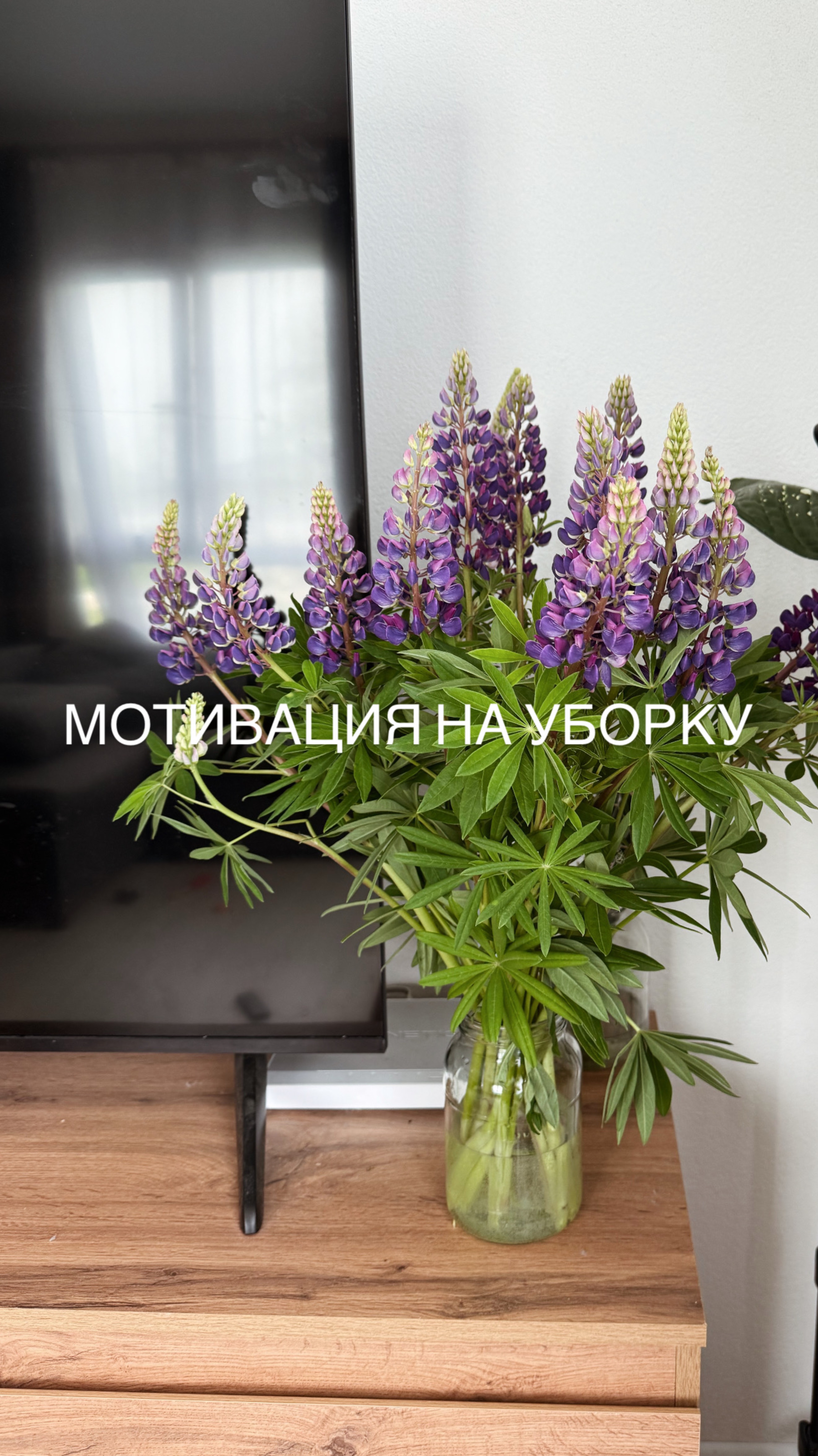 Мотивация на уборку