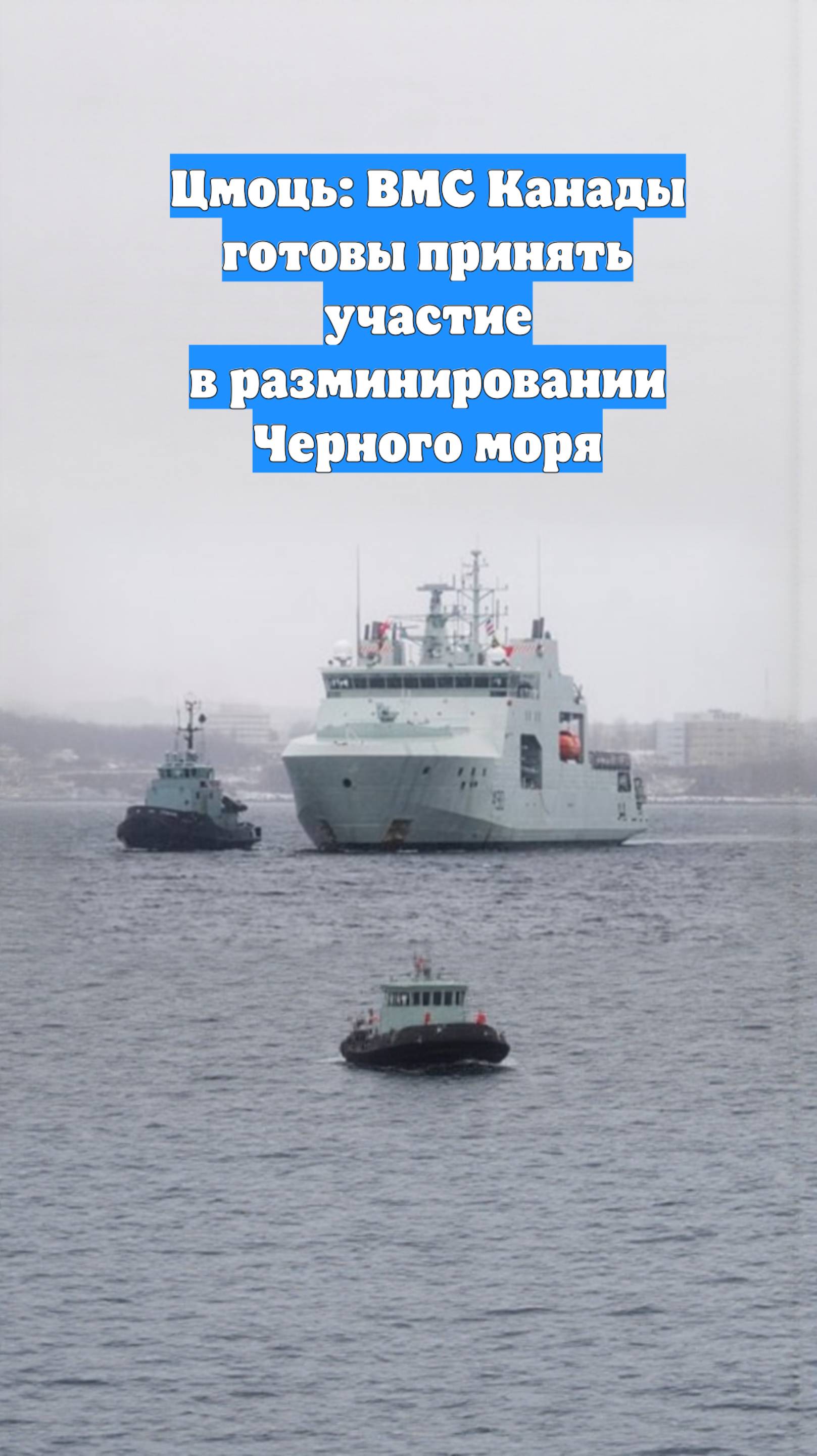 Цмоць: ВМС Канады готовы принять участие в разминировании Черного моря