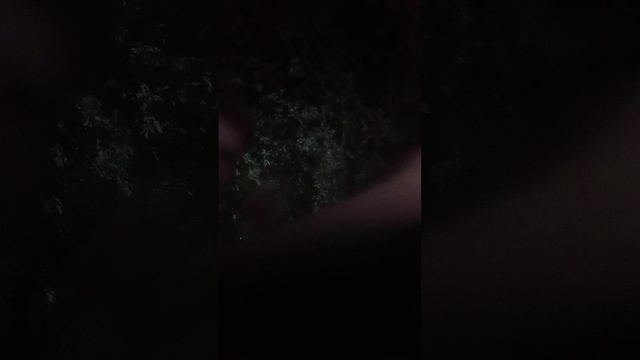 Алиса кошка мяу фильм Я тебя не заметила вторая часть