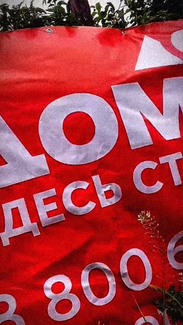 🏠“Почему воробей выбрал каркасный дом? Узнайте, как построить свой!”