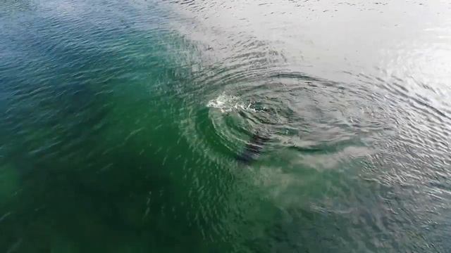 Байкал #Baikal #LakeBaikal #Nature #Russia #Travel #Tourism #drone #mavicair #dronevideo