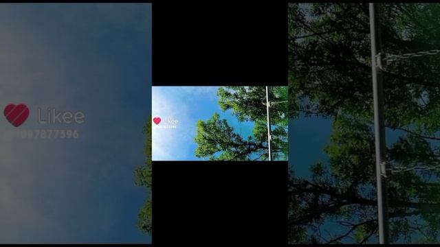 мои видео с лайка