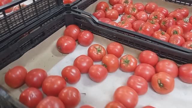 СВЕТОФОР ПОРАДОВАЛ👍ЗАКУПИЛИ ПО ПОЛНОЙ НЕДОРОГО ✅Обзор Магазина в конце Мая