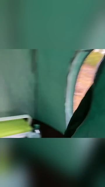 Bear Attacked Me In My Tent  short