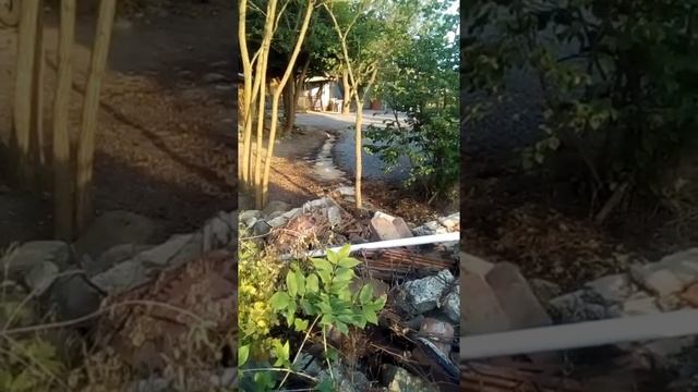 A rendőrbűnözők szerint ez nem történt meg, a videóban csobogó vegyszer csak az én hallucinációm!!!