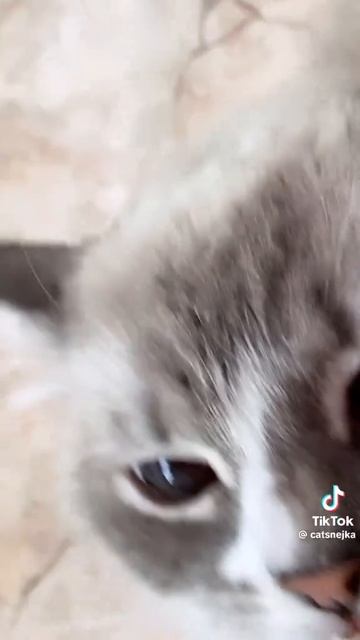 f16fe790620f69a27fce580437399d81.mp4