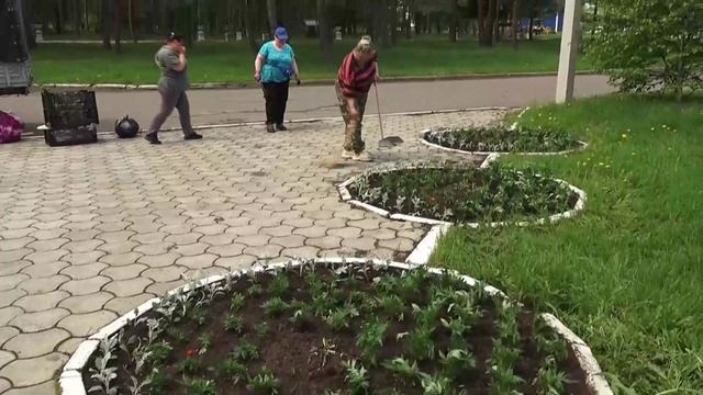 (29.05.2025) Клумбы Комсомольска начали преображаться