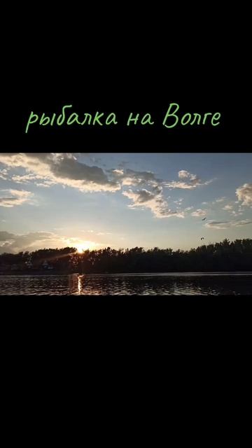 Рыбалка на Волге 🎣