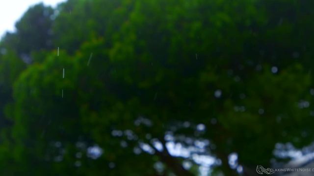 Relaxing Summer Rain Sounds for Sleep & Stress Relief
