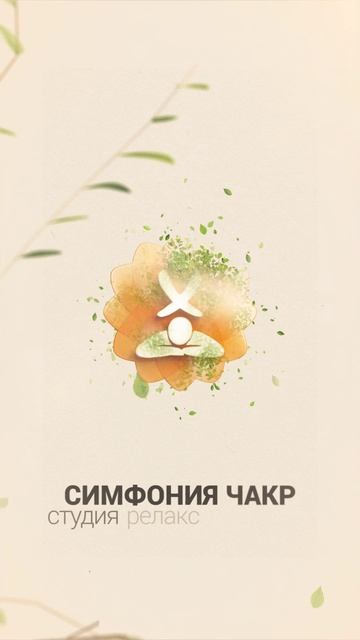 Звуковая терапия релакс массаж звуковые чаши камертоны 7 чакр Частоты cольфеджио метро Кузьминки