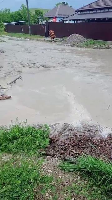 30-05-2025.В станице Удобной прошёл сильный ливень.