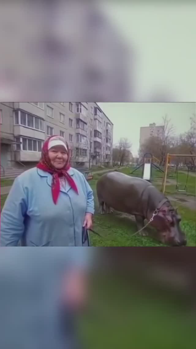 Бегемот вместо собаки.