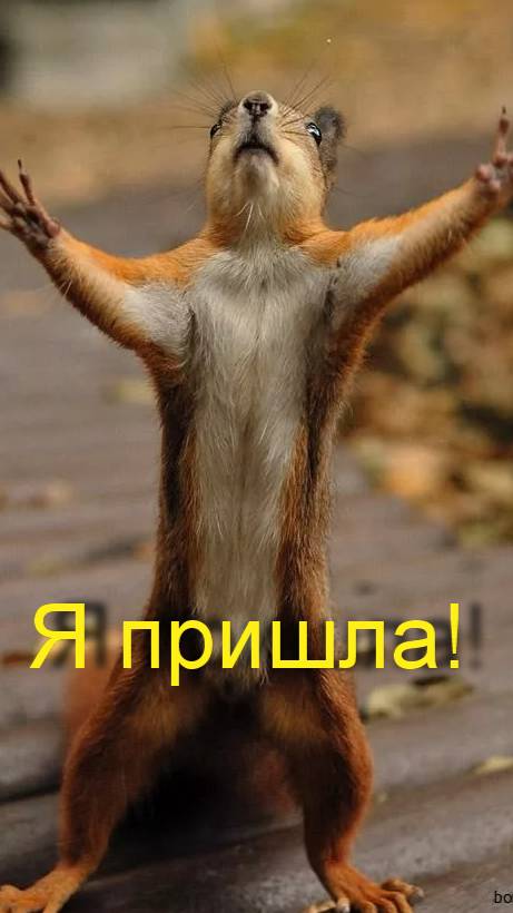 Пин от пользователя 💢 LanSon 💢 на доске юмор🤩 в 2025 г   Счастливые картинки, Юмор о настроении,