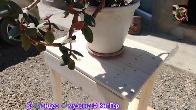 Подставка под цветы.