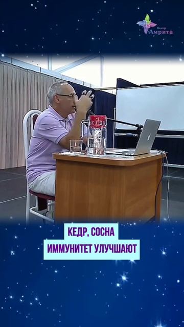 🌳О пользе разных деревьев. Торсунов О. Г.