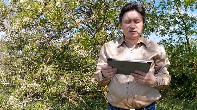 Пророчество о кратковременном хаосе
