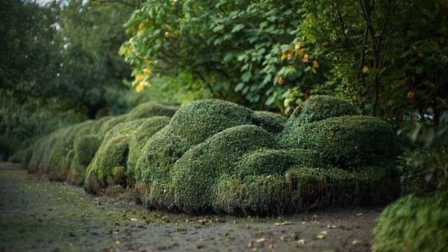 Думчева ДД виртуальная экскурсия