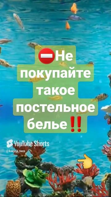 Правила покупки постельного белья