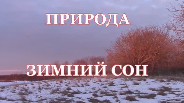 Зимняя природа / RELAX /  Winter nature