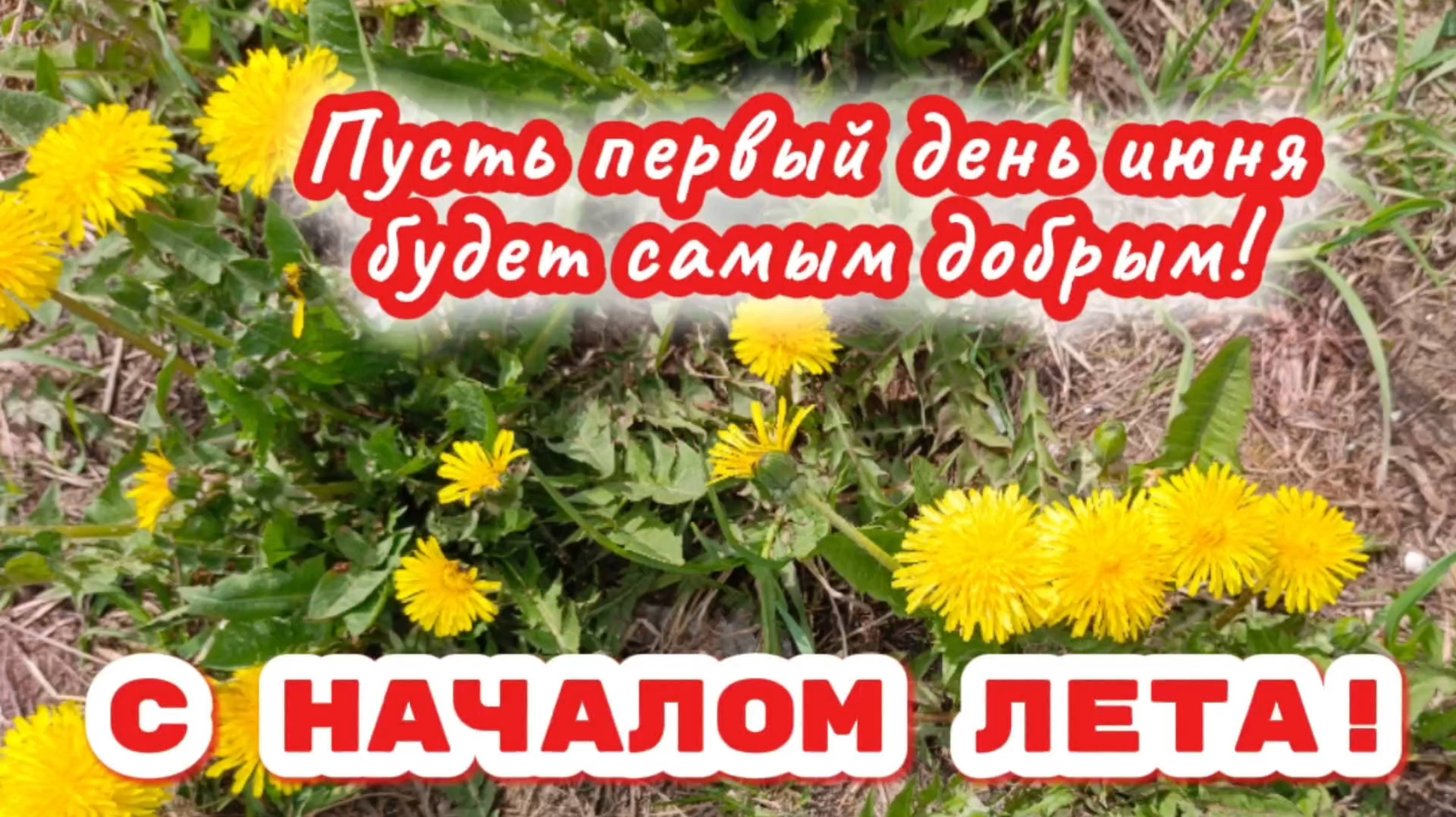 Лето солнца золотого. С началом лета!