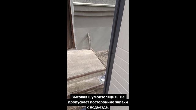 Дверь в квартиру модель D32 без наличника обзор