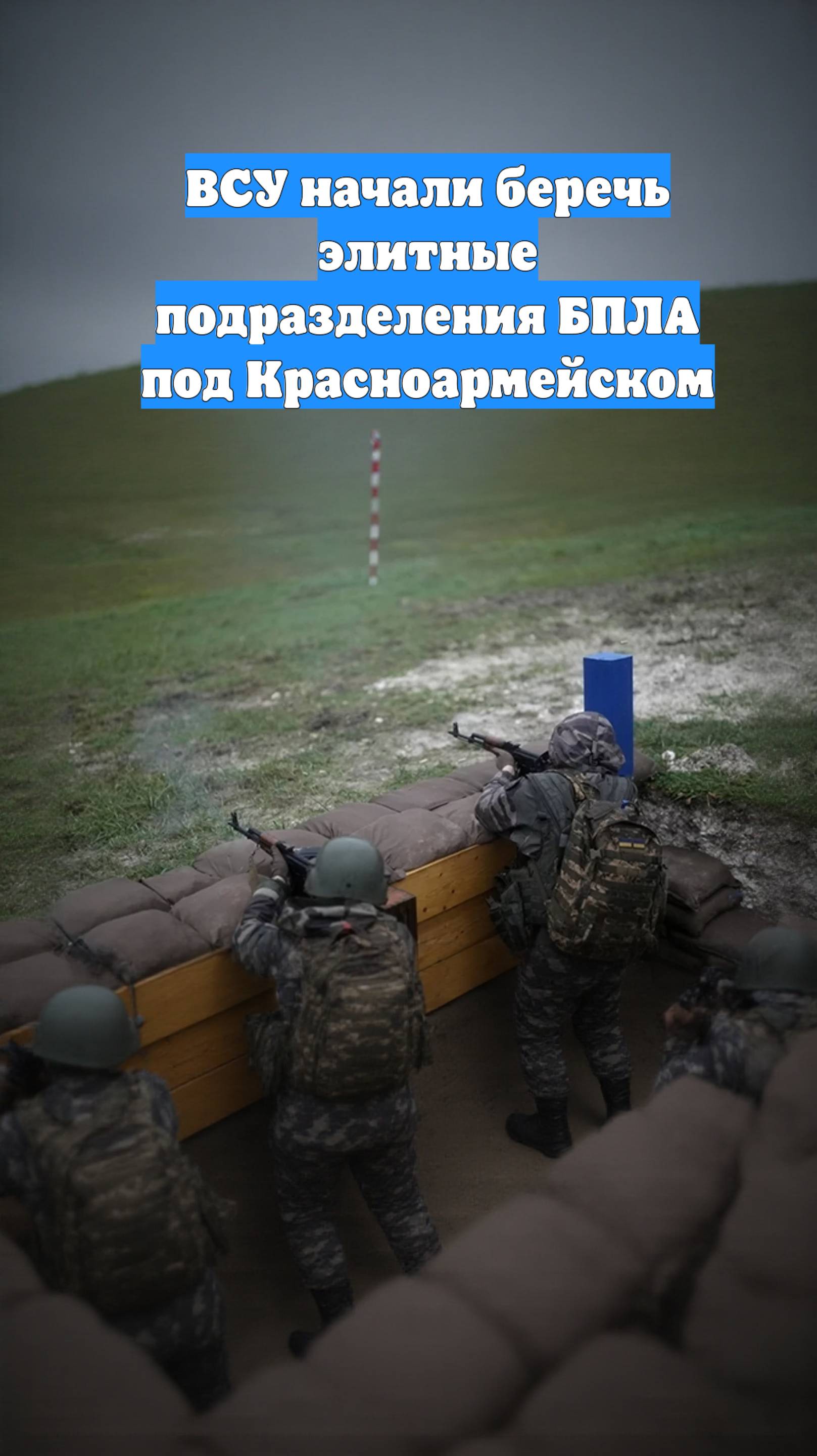 ВСУ начали беречь элитные подразделения БПЛА под Красноармейском
