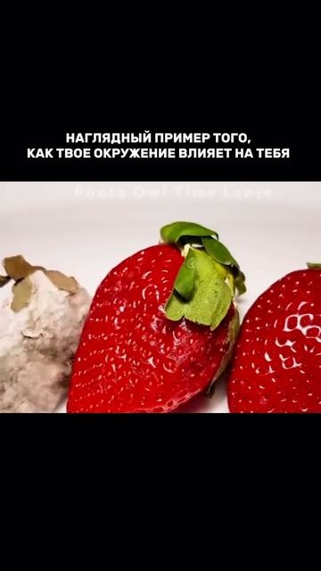Как твое окружение на тебя влияет
