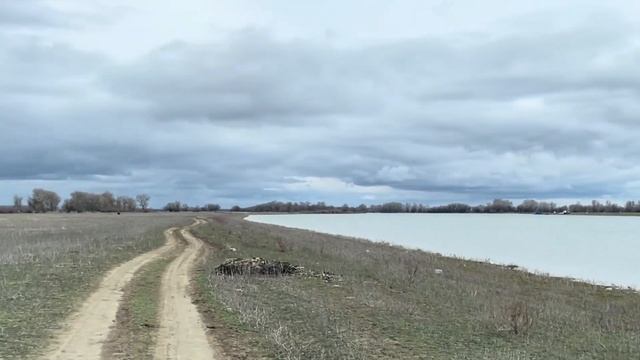 Грязь. Дождь. Паром. 2 вместо 3. Пропал шнауцер.