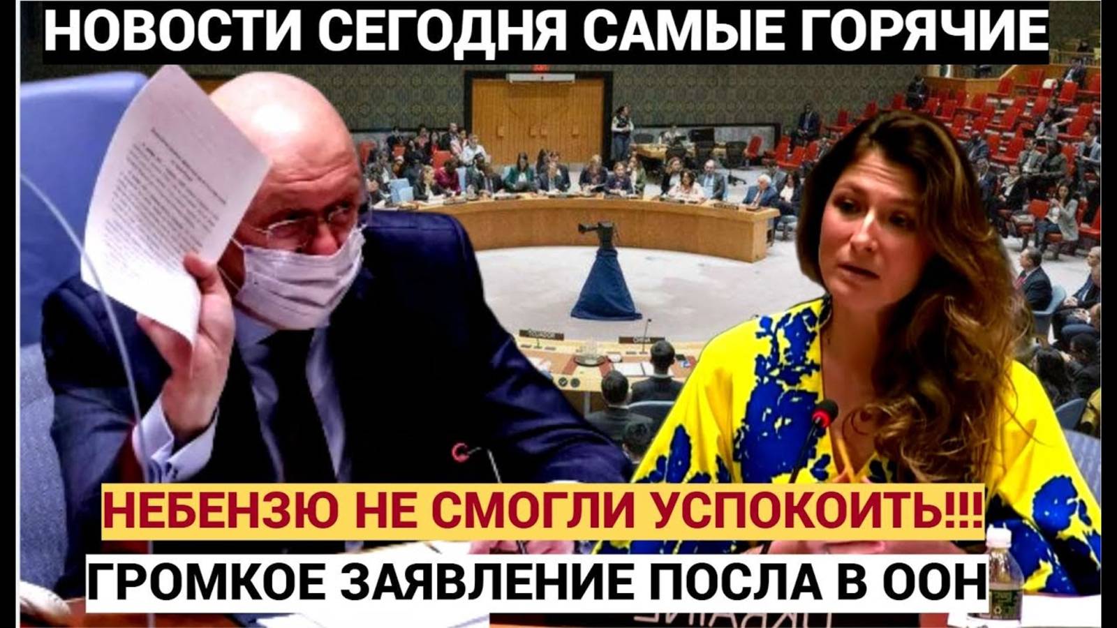 ВЕСЬ ЗАЛ ВСТАЛ! Небензя в ООН не смог смолчат! Такого ЕЩЁ в ГА ООН не Слышали!