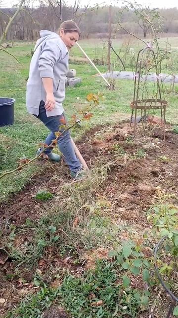Из старого кирпича бордюр #жизньвдеревне #youtube #minivlog #diy